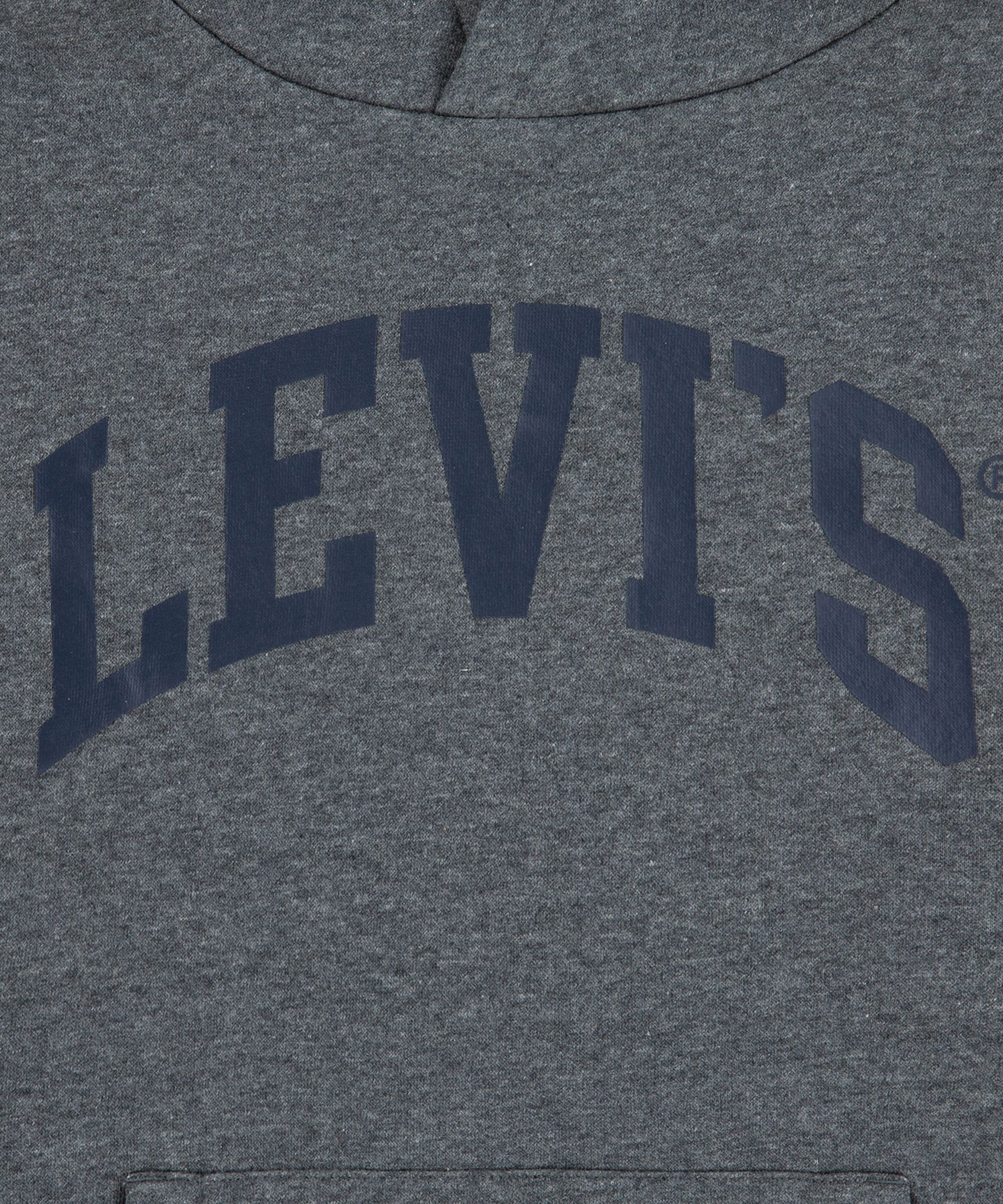 Levi's Youth Unisex Varsity Logo Hoodie