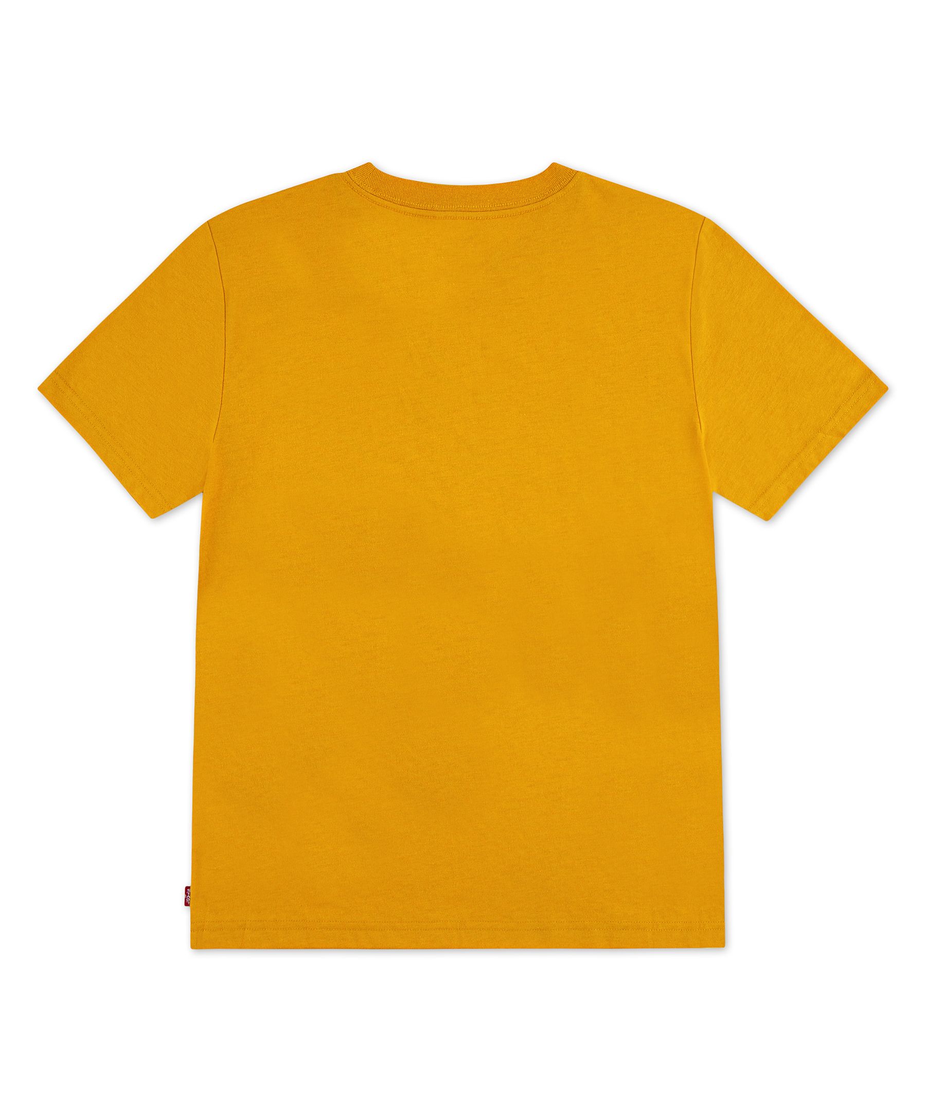 T-shirt unisexe pour jeunes, Big Rig, Levi's