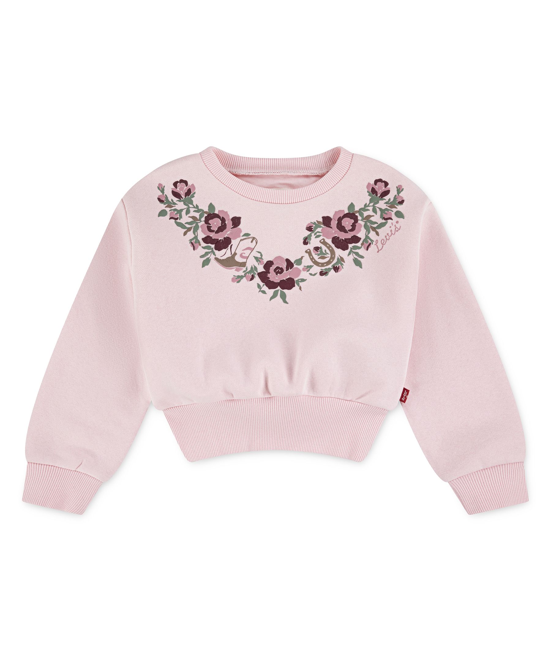 Levi's Youth Unisex Western Long Sleeve Crew