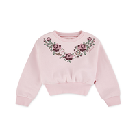 Chandail à manches longues et encolure ras du cou western unisexe pour jeunes, Levi's Front_Flat