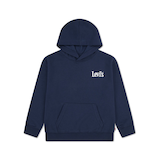 Chandail à capuche classique d'allure épurée pour jeunes, Levi's Front_Flat