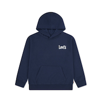 Chandail à capuche classique d'allure épurée pour jeunes, Levi's Front_Flat