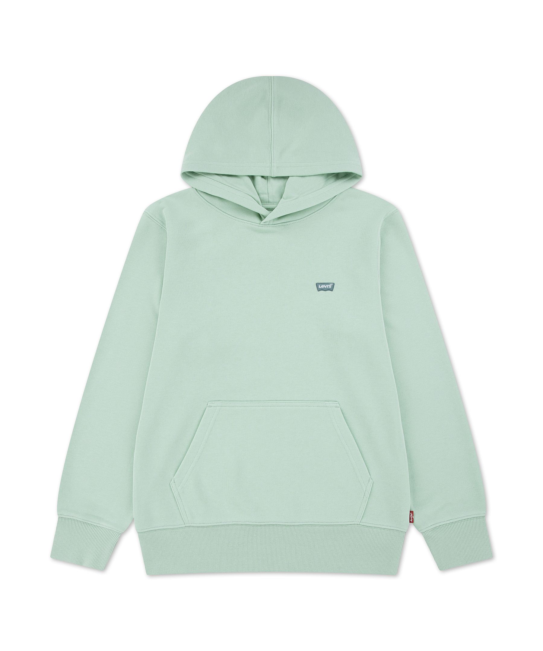 Levi's Youth Mini Batwing Pullover Hoodie