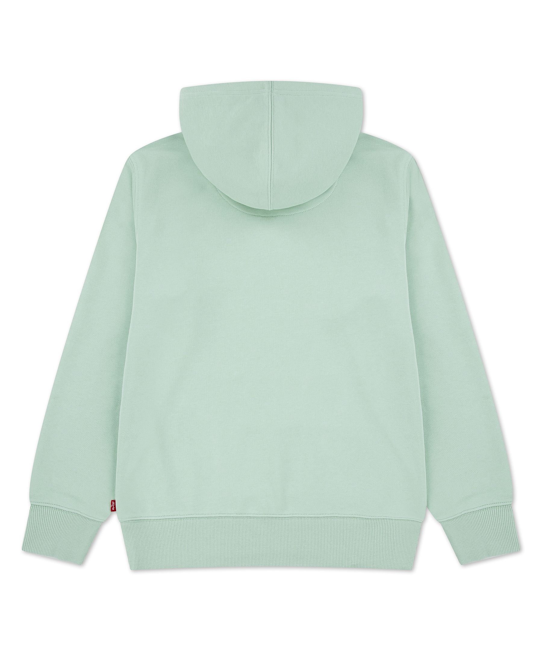 Levi's Youth Mini Batwing Pullover Hoodie