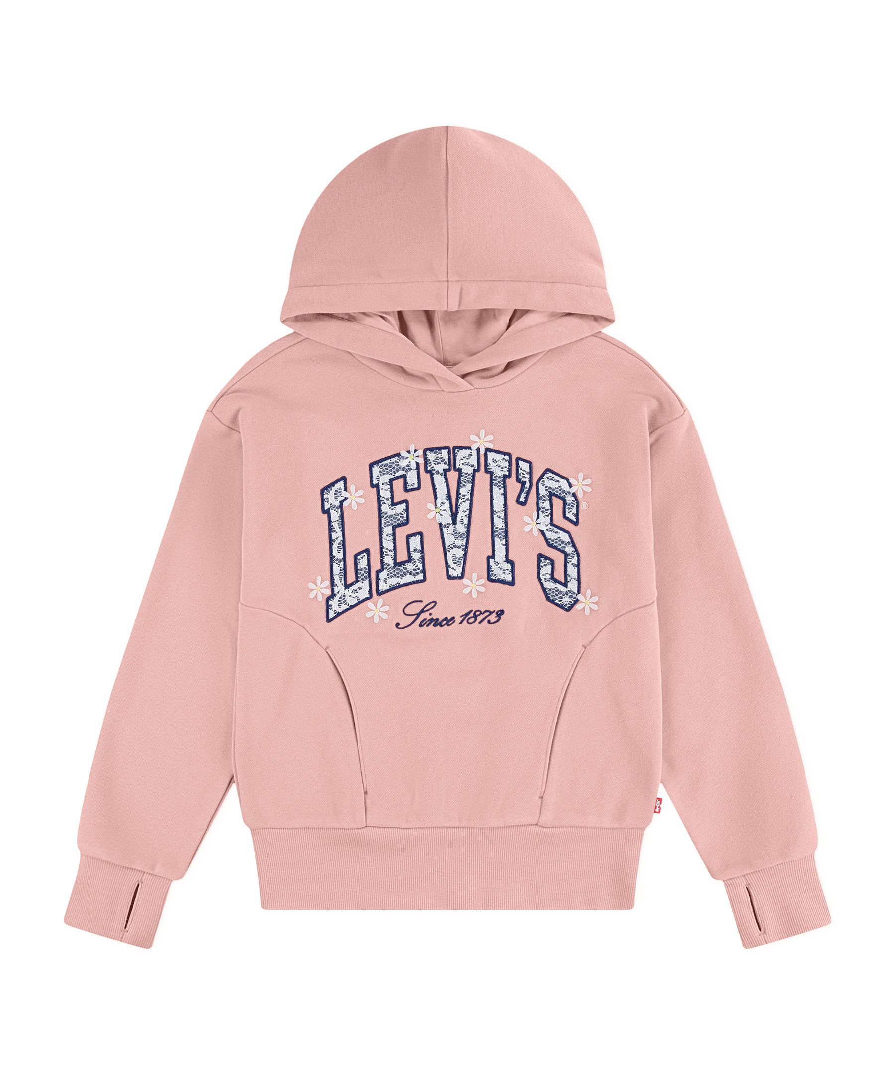 Levi's Youth Logo Hoodie