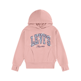 Chandail à capuche avec logo pour jeunes, Levi's Front_Flat