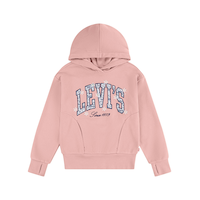 Levi's Youth Logo Hoodie Front_Flat