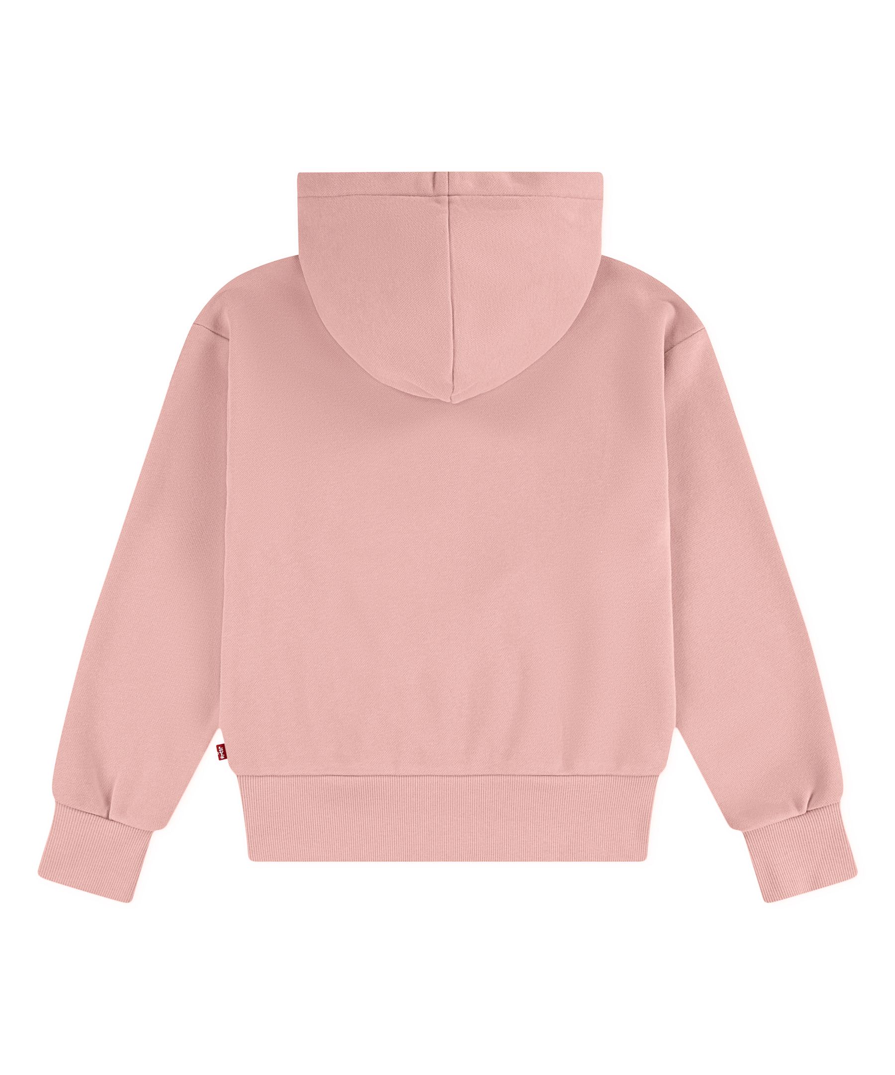 Levi's Youth Logo Hoodie
