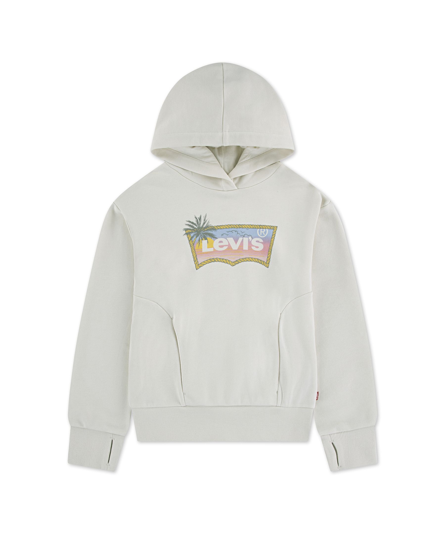 Levi's Youth Ombre Batwing Pullover Hoodie