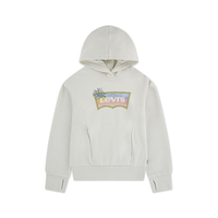 Levi's Youth Ombre Batwing Pullover Hoodie Front_Flat