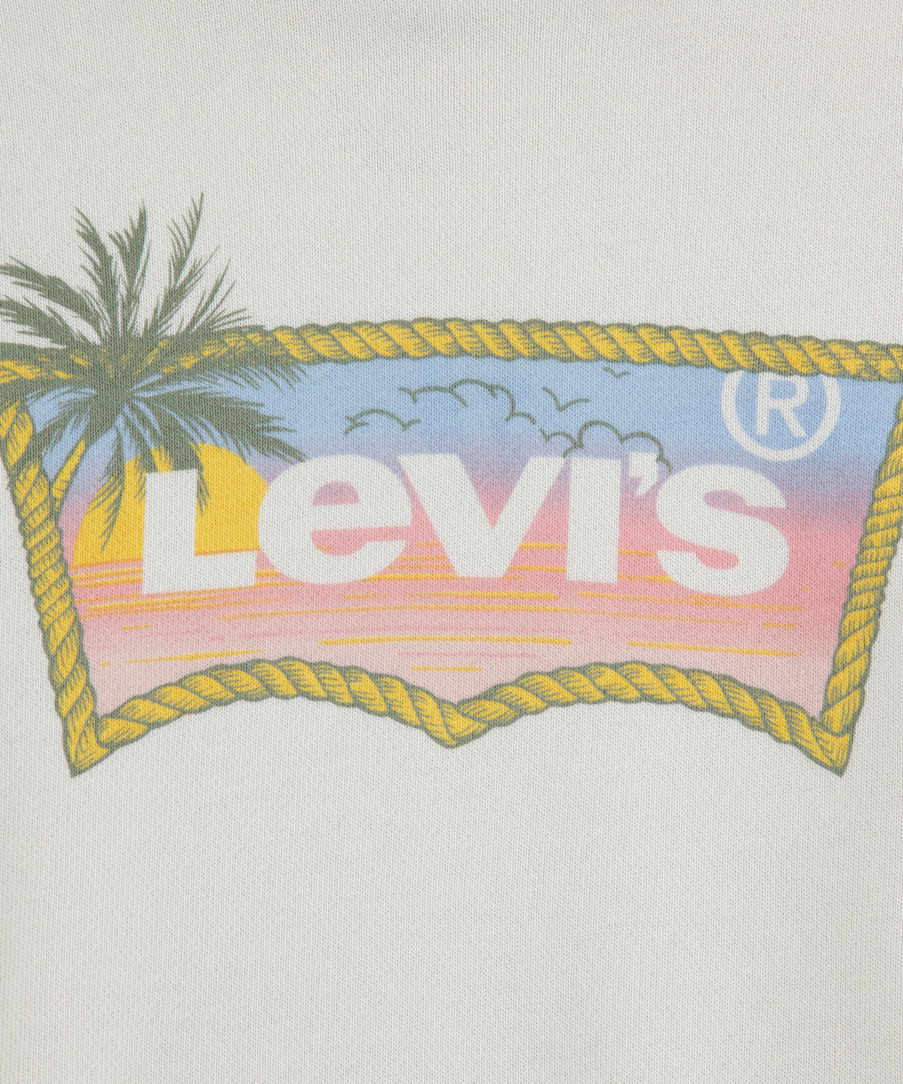 Levi's Youth Ombre Batwing Pullover Hoodie