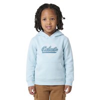 Chandail à capuche en molleton graphique pour enfants, Carhartt