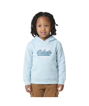 Chandail à capuche en molleton graphique pour enfants, Carhartt