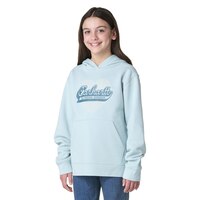 Carhartt Kids' Graphic Fleece Hoodie