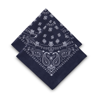 WindRiver Unisex 2 Pack Cotton Bandanas Composite_or_Mixed