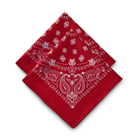 WindRiver Unisex 2 Pack Cotton Bandanas