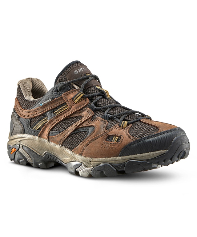 Hi-Tec Chaussures basses pour hommes, Ravus Vent, brun
