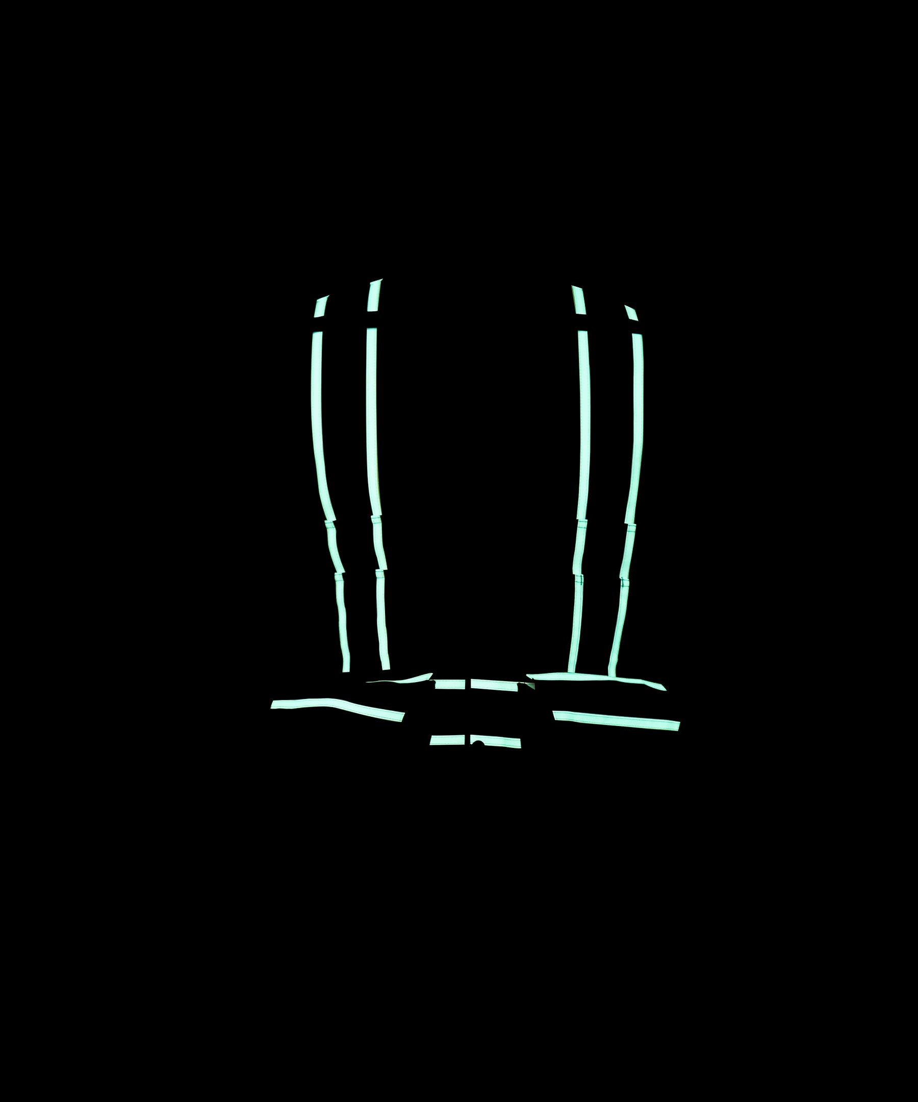 Gilet d’arpentage Dakota WorkPro Series Vizlite DT 300D&nbsp;de catégorie&nbsp;1, pour hommes