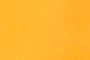 Hi Vis Orange