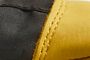 Gold/Black
