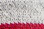 Raspberry/Grey