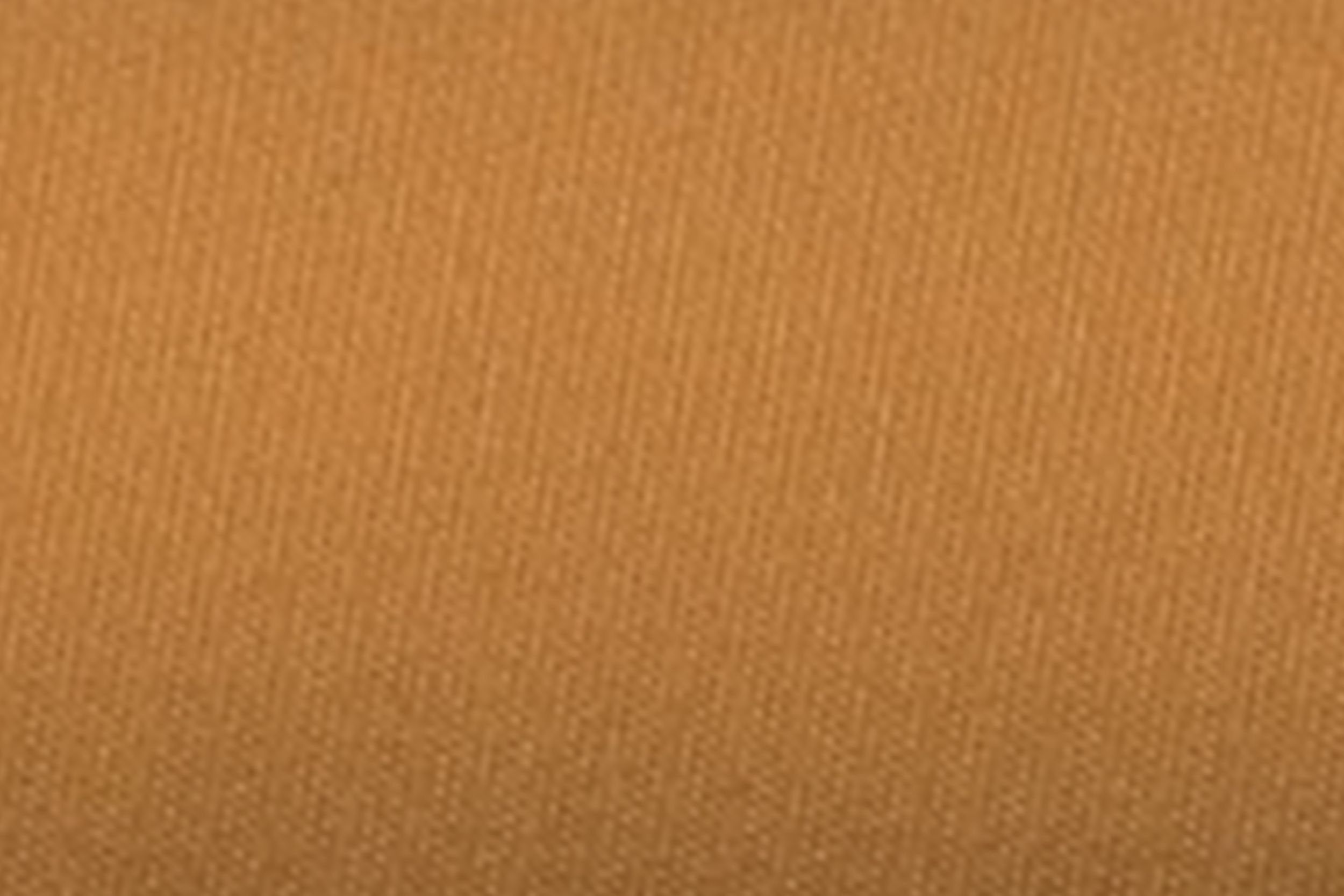 Brown Duck