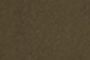 Army