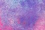 Rose/Violet