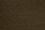 Loden
