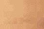 Saddle Brown