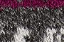Charcoal/Plum