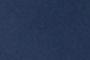 Collegiate Navy