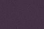 Noir Prune