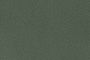 Jungle Green