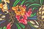 Black Pineapple Print