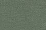 Jungle Green