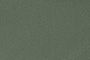 Jungle Green