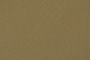 Light Khaki