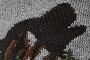 Black/Grey Wolf