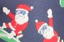 Blue Snowboard Santa Print