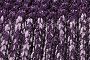 Lilac/Amethyst