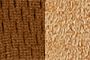 Brown/Barley