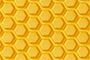 Carhartt Yellow