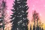 Northern Lights