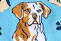 Chiens bleus