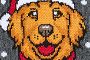 Gris Santa Paws