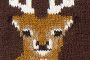 Black/Brown Deer