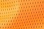 Fluorescent Orange