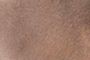 Brun foncé